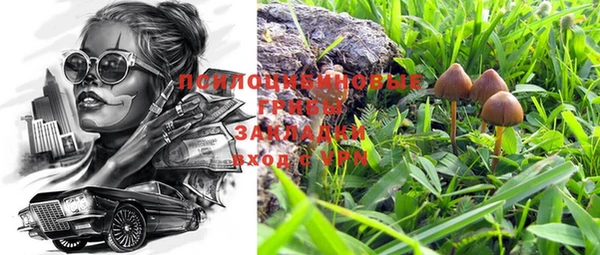 герыч Козельск