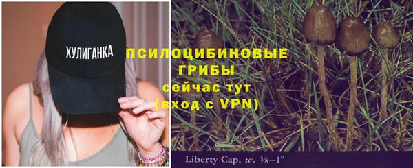 метамфетамин Козловка