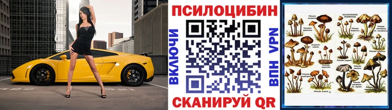 Купить где  Красногорск  Псилоцибиновые грибы GOLDEN TEACHER 